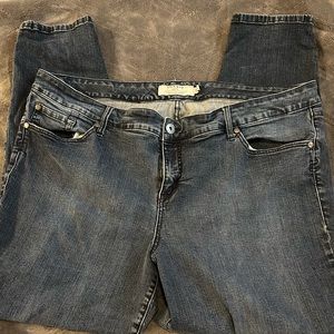Torrid Denim Jeans